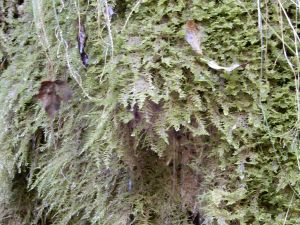 image110